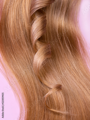 A long strand of light blond with a curl on a pink background. The concept of natural, healthy hair. Permhair