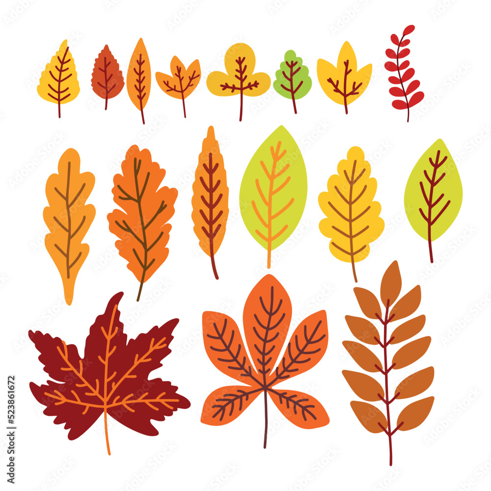 Set of autumn leaves. Simple background leaves autumn background for the design of a composition of posters, postcards, stickers, decor, school decor, in orange tones. Leaves 