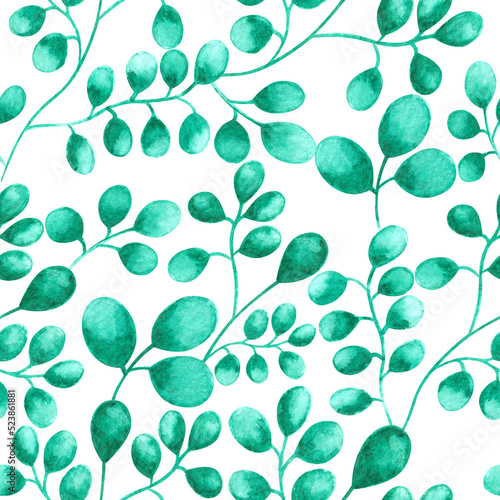 Hand drawn illustrated watercolor green round leaved wild meadow plants seamless pattern. Aquarelle design for print textile, fabric and cards. Isolated on white, botanical summer background