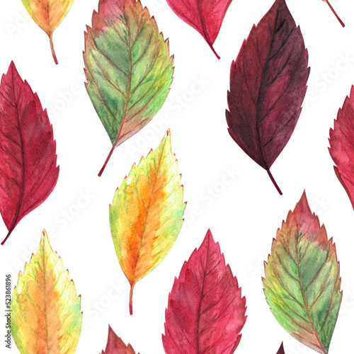 Watercolor hand drawn painted vertical rows of red  orange  burgundy  vinous  yellow  green multicolored autumn season leaves seamless pattern as fall background on white. 