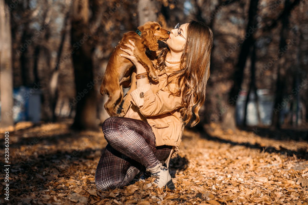 Obraz premium Pet Love. Cute English cocker spaniel puppy in the hands of the owner in autumn park.