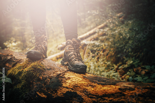 Hiking boots on log in mountain trail woods closeup