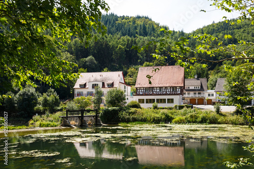 Obere Donau bei Neidingen im Landkreis Sigmaringen  Upper Danube Valley 