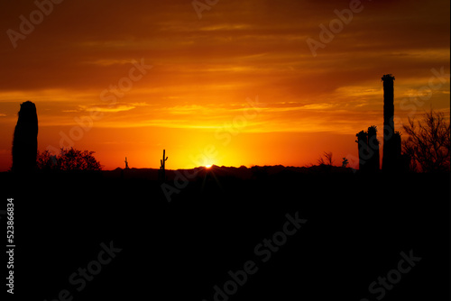 Arizona desert sunrise or sunset silhouette of cactus showing Saguaro cacti outlines