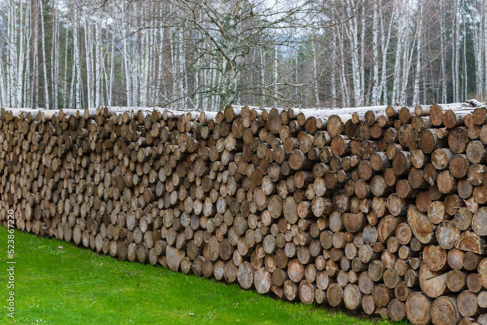 Wood for heating the stove. The cut trees are piled up.