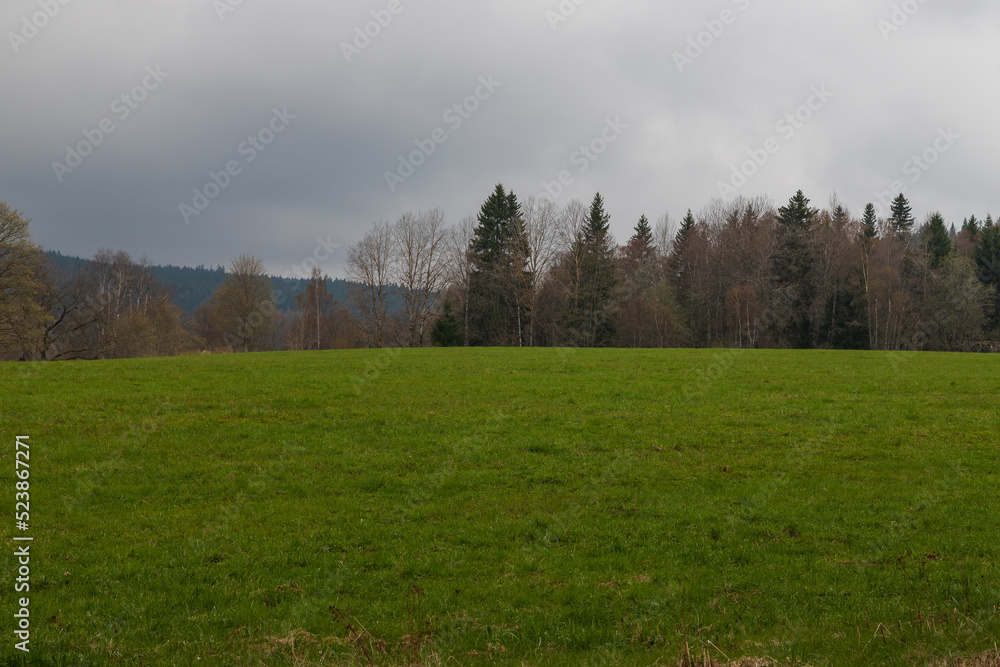 Sumava protected landscape area in the Czech Republic in Europe. Area Chalupska slat - forests, meadows, path to slat.