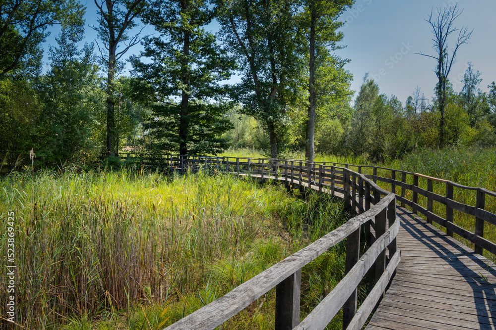 la passerelle du marais, bois de Versoix la passerelle du marais, bois de Versoix