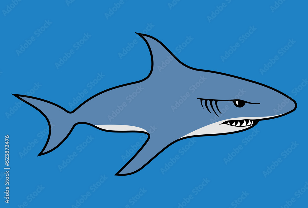 Fototapeta premium shark in the sea
