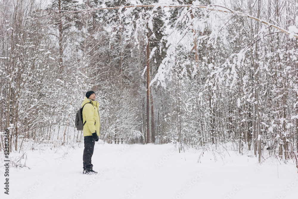 Rear view of young man with backpack in yellow jacket walking in snowy pine forest in winter. People from behind. Local travel, exploring nature.
