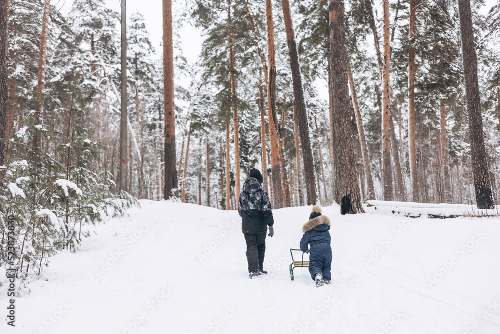 Rear view of two boys sledding and having fun together. Happy children playing in snow in winter forest. Brothers spending time together
