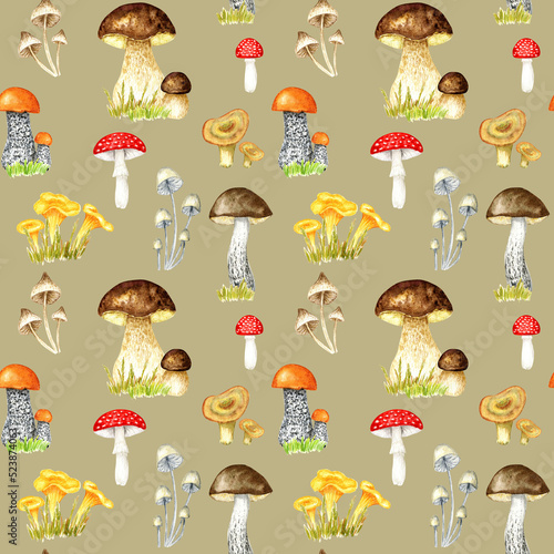 Watercolor mushrooms seamless pattern. Hand drawn Illustration for creating fabrics, wallpapers, gift wrapping paper, invitations, textile, scrapbooking.