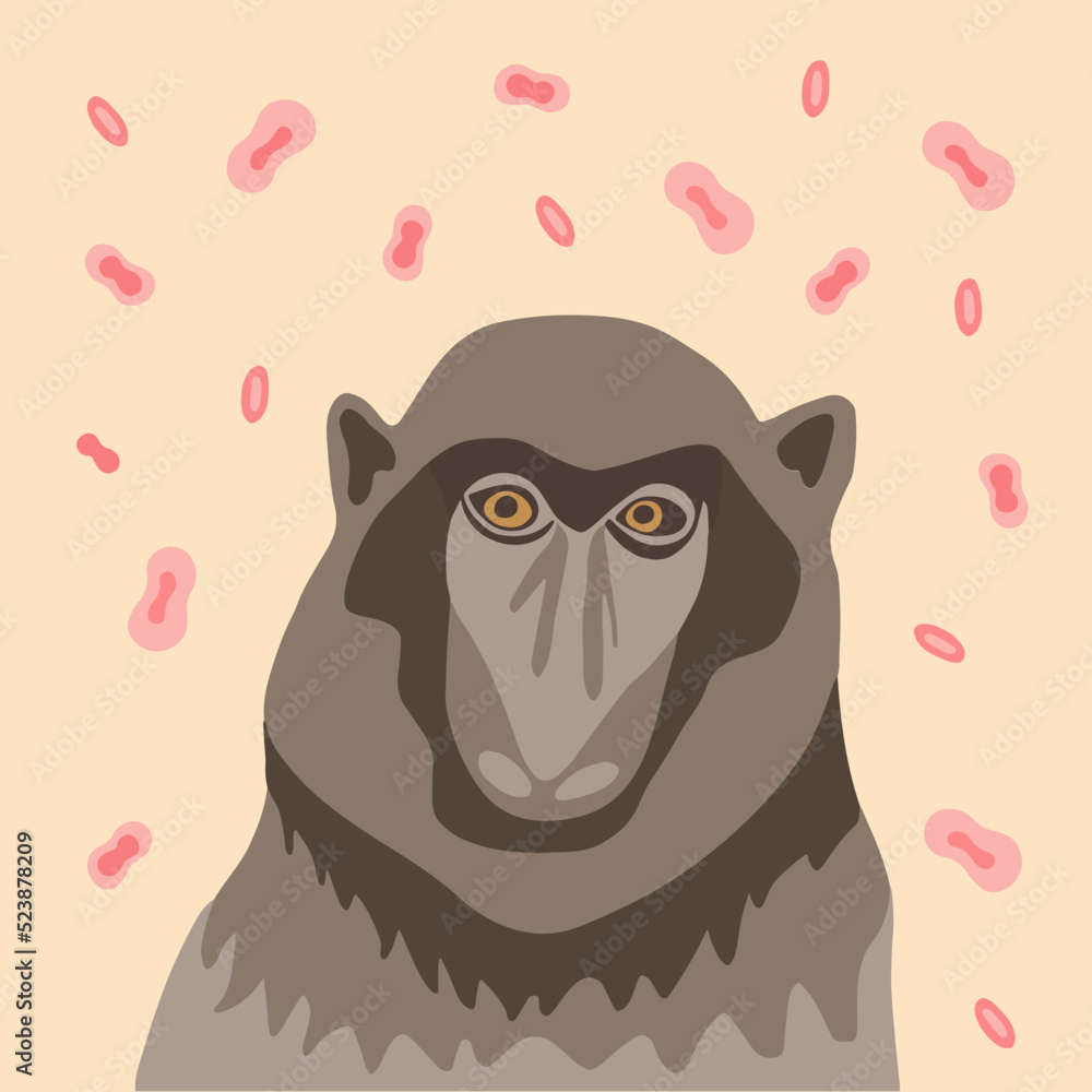 Vector illustration on the theme of monkey pox.
