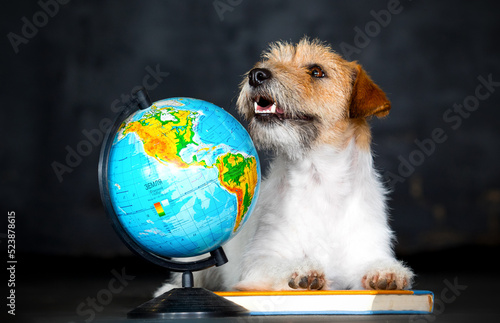 dog getting ready for school