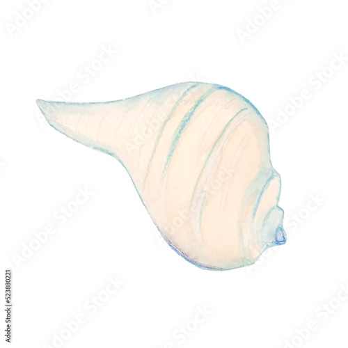 One watercolor blue isolated shell front view. Isolated illustration with shell on a white background for shops travel agencies or card