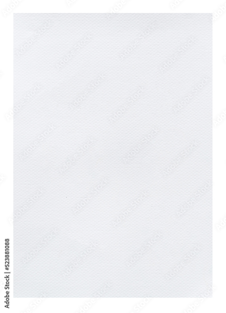 blank white paper blank white paper