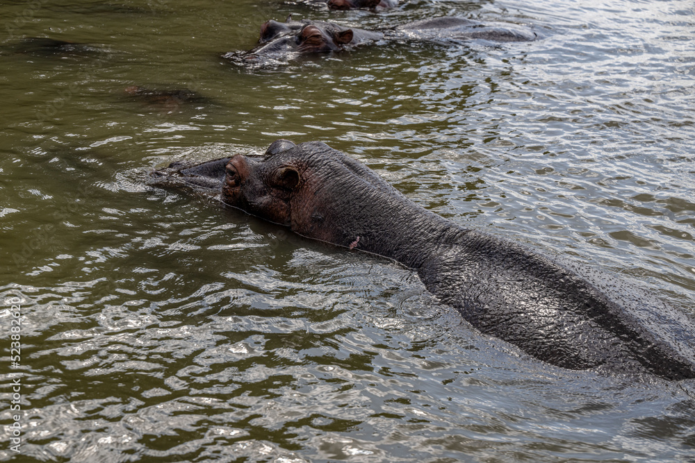 Fototapeta premium creative