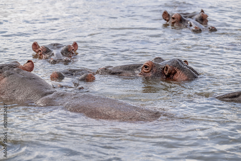 Fototapeta premium creative