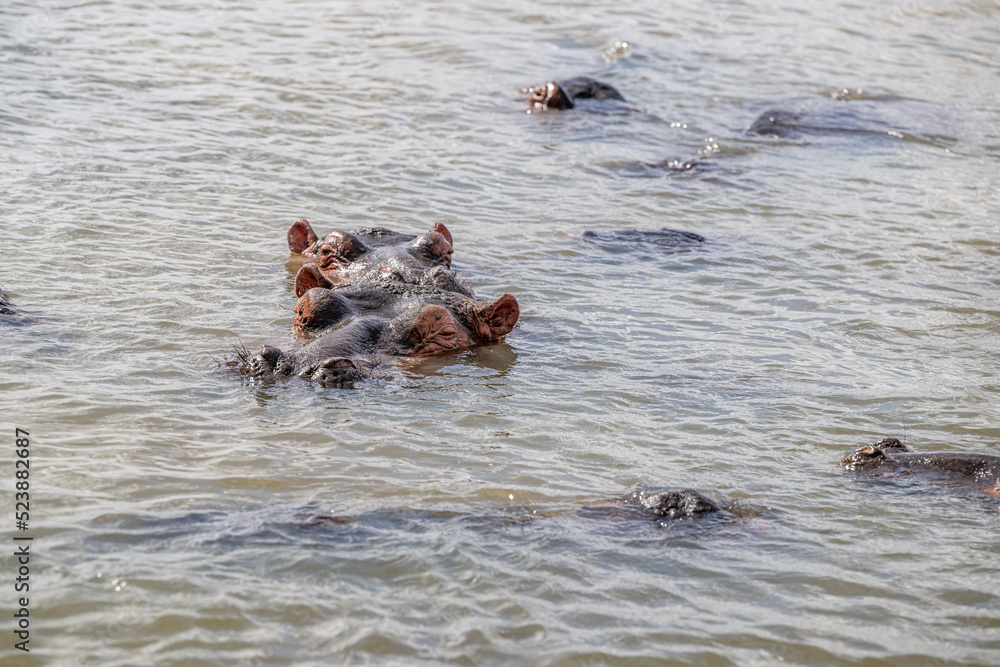 Fototapeta premium creative