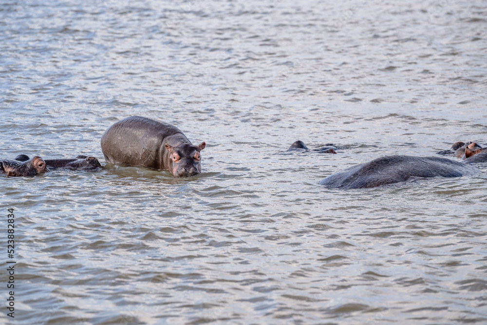 Fototapeta premium creative