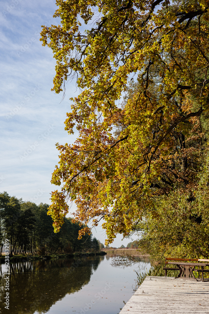 Beautiful view of the river with trees. Autumn landscape by the river.