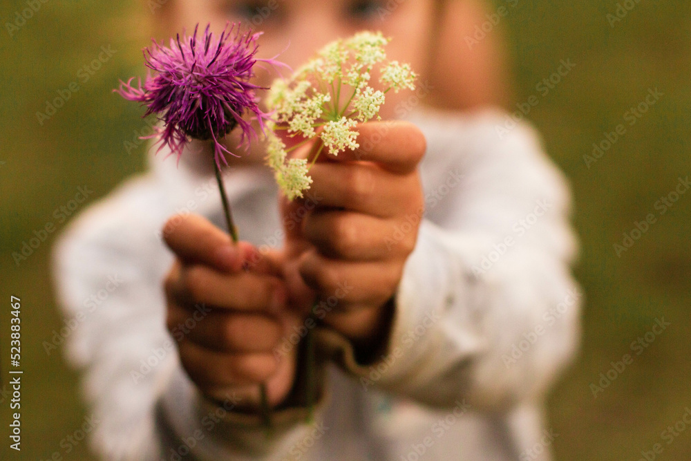flower, hand, nature, beauty, plant, flowers, spring, woman, holding, bouquet, blossom, love, gift, hands, summer, child, bloom, garden, floral, hold, color, people, leaf, care, gardening