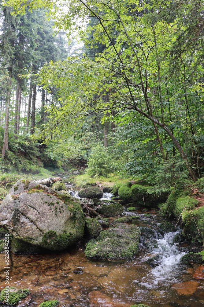 Góry Karkonosze, potok Kamieńczyk Góry Karkonosze, potok Kamieńczyk