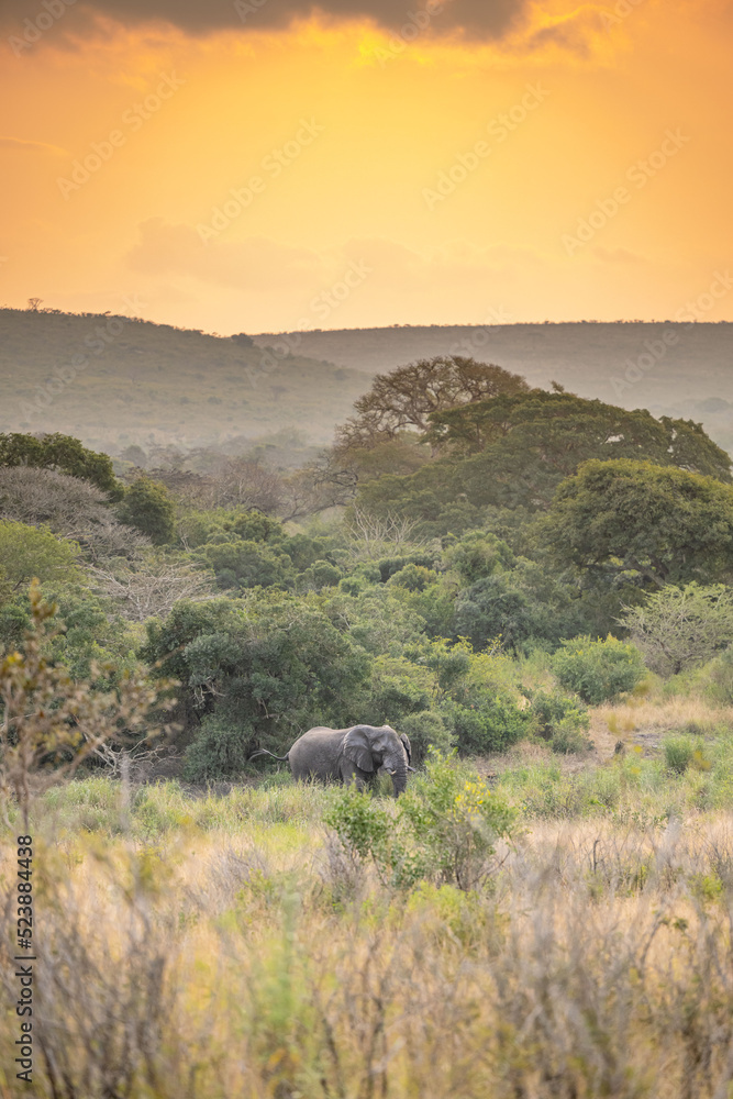 Obraz premium creative