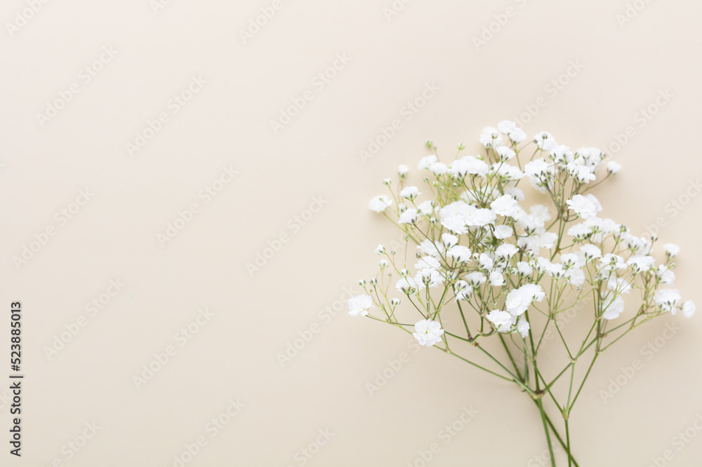 Obraz premium Beautiful flower background of pink gypsophila flowers. Flat lay, top view. Floral pattern.