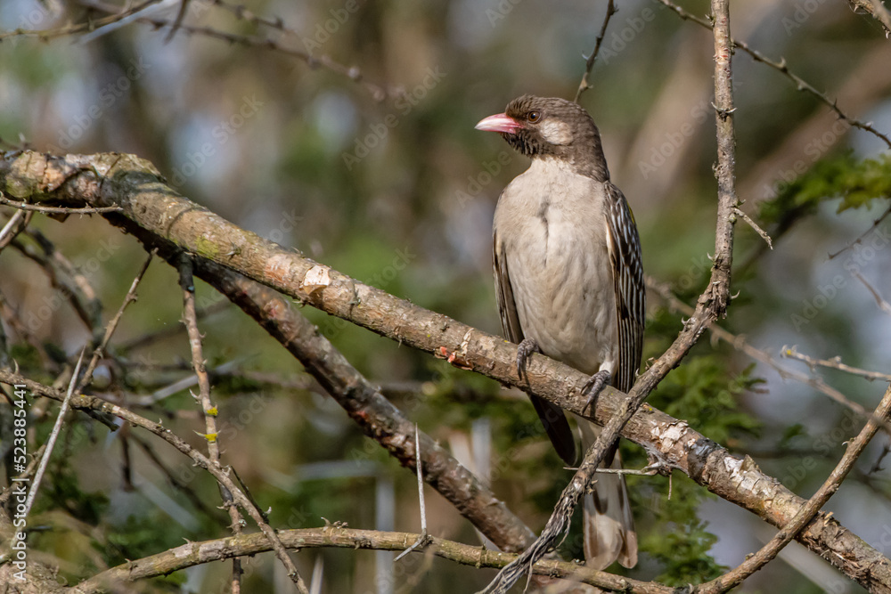 Obraz premium creative