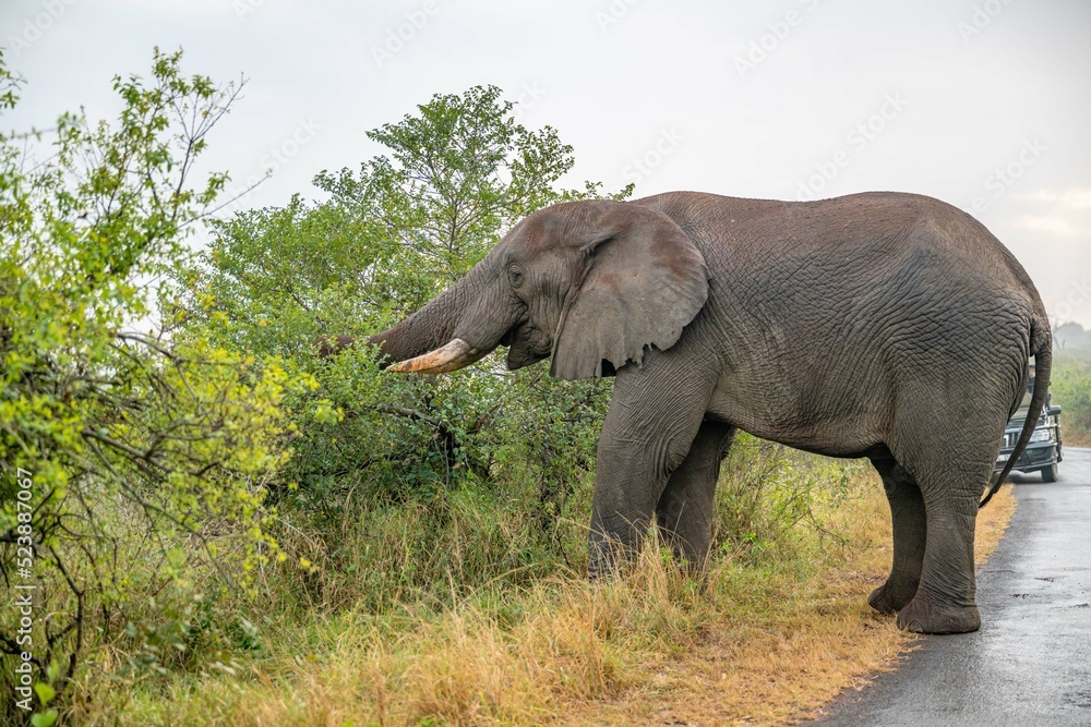 Obraz premium creative