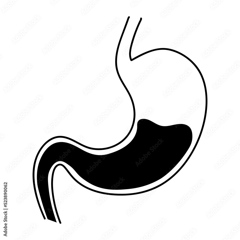 Stomach icon for gastroenterology speciality in outline style isolated on white background, medical health care Stomach icon for gastroenterology speciality in outline style isolated on white background, medical health care