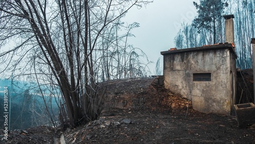 Pedrogao Grande area in Portugal after wildfires photo