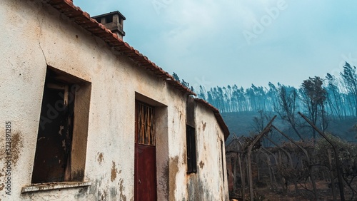 Pedrogao Grande area in Portugal after wildfires photo