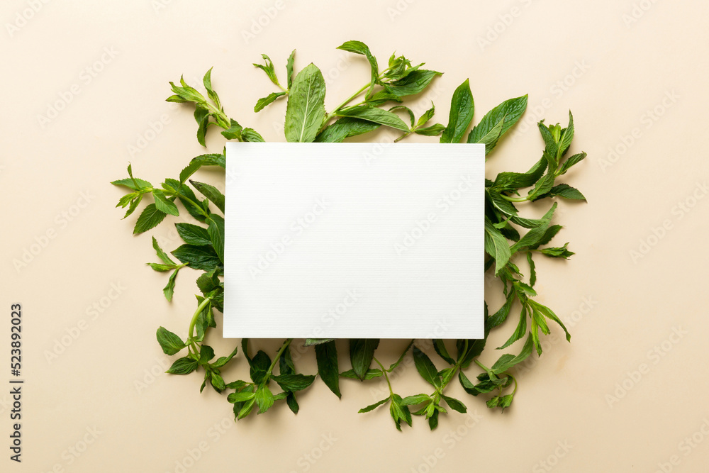 Wreath frame made of empty paper blank with space for text and mint leaves on colored background. . Mint Pattern. Flat lay. Top view