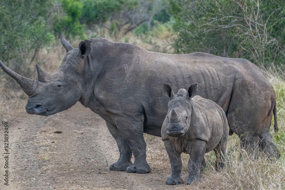 Obraz premium creative