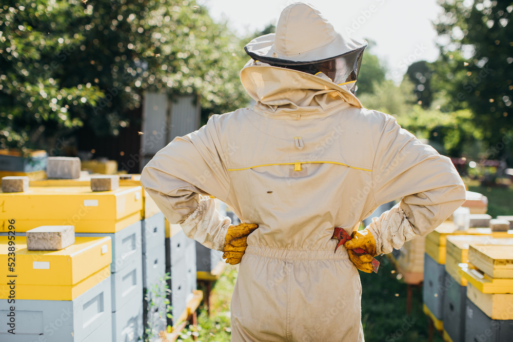 Male beekeeper holding tool on apiary, back view Male beekeeper holding tool on apiary, back view