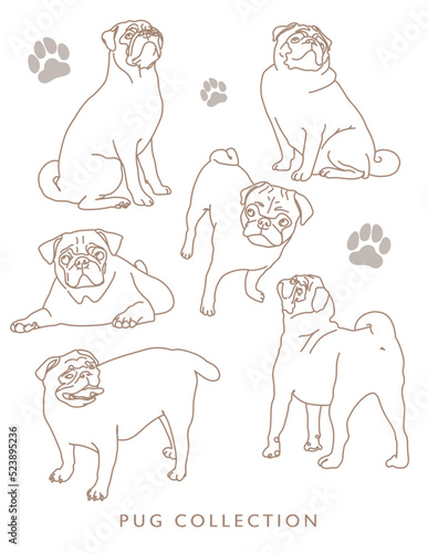 Pug Illustration Graphic Elements Variety Different Poses Outline, Line Art
