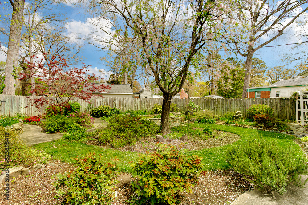garden in spring flowers blue sky sunny garden in spring flowers blue sky sunny