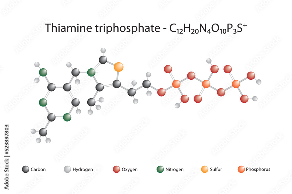 Molecular formula and chemical structure of thiamine triphosphate Stock