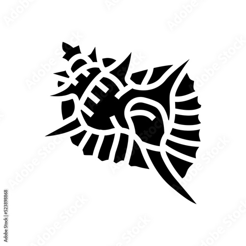 murex sea shell beach glyph icon vector illustration photo