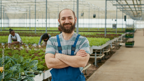 Tableau sur toile Portrait of caucasian farmer in organic food farm posing confident while pickers gather vegetables in greenhouse