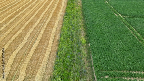Aerial view of a flower strip between harvested barley and potatoes - functional agrobiodiversity photo