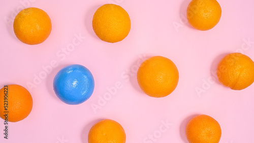 Fototapeta Naklejka Na Ścianę i Meble -  Oranges pattern with one blue orange. Creative background. Flat lay