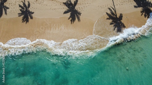 Cuadro en lienzo Aerial view of the fabulous Paradise Beach with palms reflected on the shore in