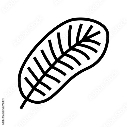 smooth feather soft fluffy line icon vector illustration