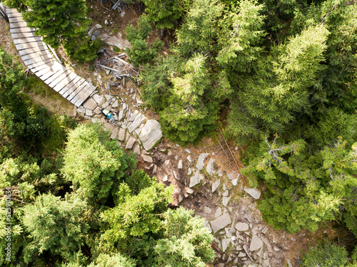 Green forest with rocky mountain biking trail and ramp