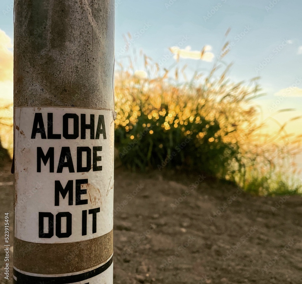 Closeup of a sign in O'ahu, Hawaii saying "aloha made me do it" - wholesome and loving quote - obrazy, fototapety, plakaty 