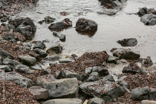 Closeup shot of the rocks on the Juju Island beach, South Korea photo