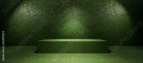 green interior with a spotlight, green design,, green interior with a wall, looping animated, screen, abstract background, football, sports, empty green field for sports, football grass field