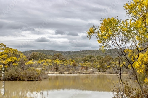 Scenic view of a lake surrounded by trees under the gloomy sky in New South Wales, Australia photo